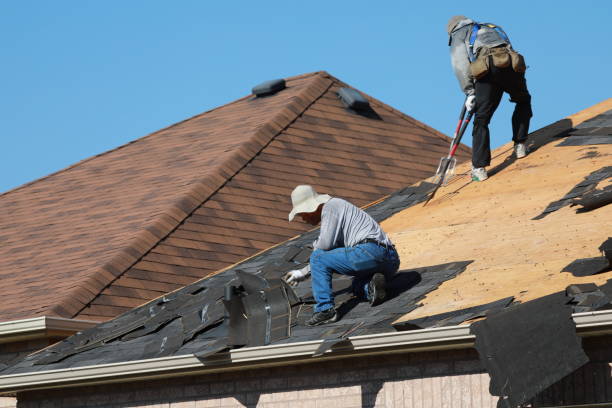  Obion, TN Roofing services Pros