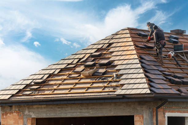 Best Emergency Roof Repair Services  in Obion, TN